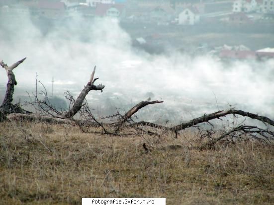 "in vreme de razboi" martie 2006 - pareri... sfaturi.... ............ este facuta cu - peisaje